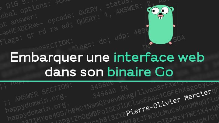 Embedding a web front-end in your Go binary: happyDomain example — cover slide